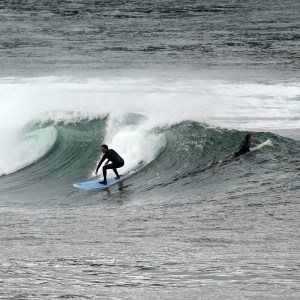 honey-retro-egg-surfing