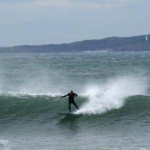 megafun-honey-pocholete