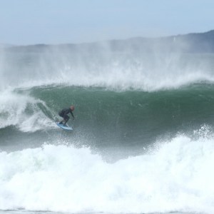 megafun-honey-surfboards